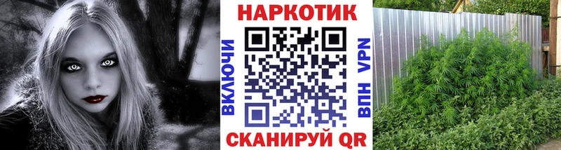 Магазины продажи наркотиков Шенкурск ГАШИШ МАРИХУАНА КОКАИН Меф мяу мяу