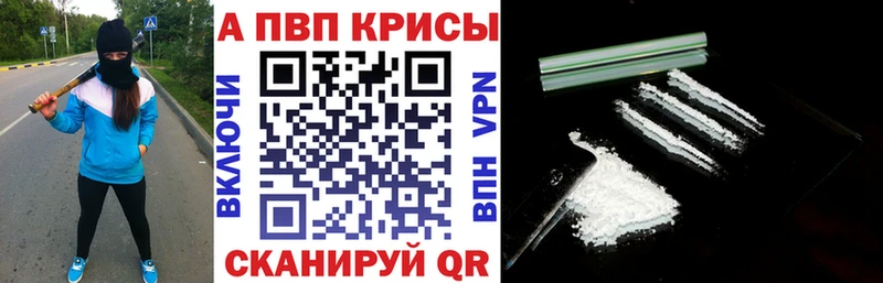 где купить   Шенкурск  Alpha-PVP Соль 