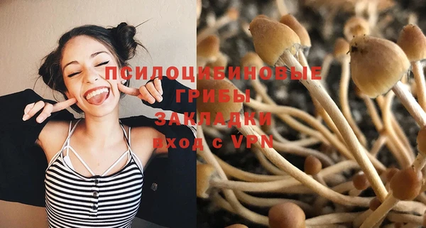винт Надым