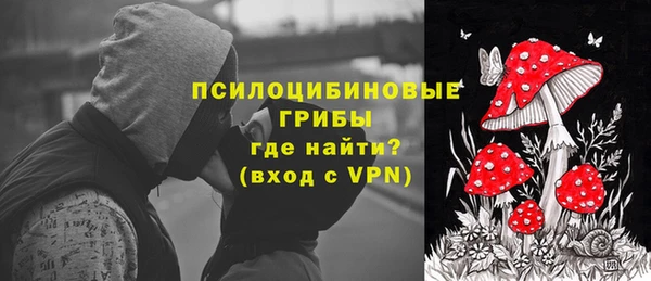 винт Надым